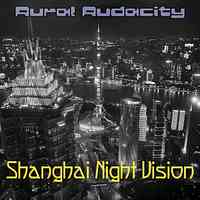 Artwork for Shanghai Night Vision