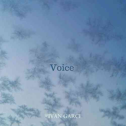 Artwork for Voice [Vlosfer Records]