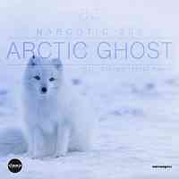 Artwork for Arctic Ghost