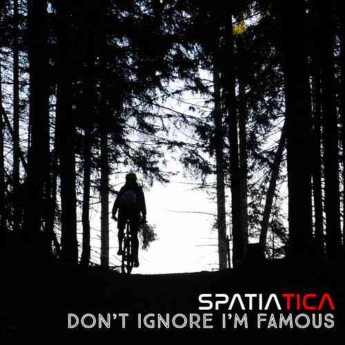 Artwork for Don't Ignore me i'm famous