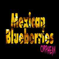 Mexican Blueberries