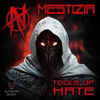 Artwork for The Tools Of Hate