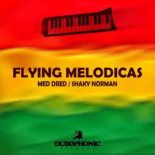 Artwork for Flying Melodicas Dub