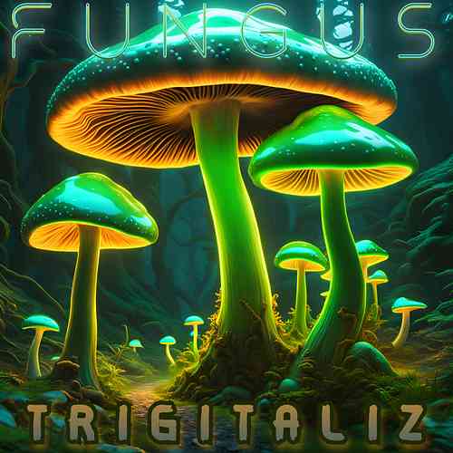 Artwork for fungus trigitaliz