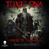 Artwork for Voices of Valhalla