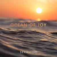Artwork for Ocean Of Joy