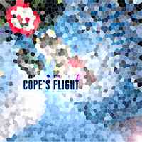 Artwork for Cope's Flight