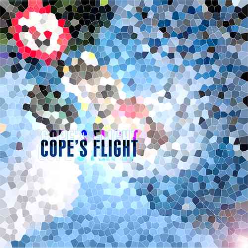 Artwork for ~Cope's Flight ~sunset attack~