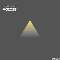 Artwork for Voices
