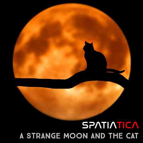 Artwork for A Strange moon and the cat