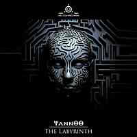 Artwork for The Labyrinth