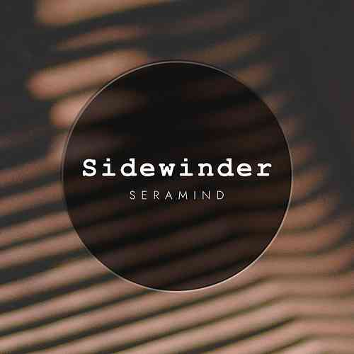 Artwork for Sidewinder Dub