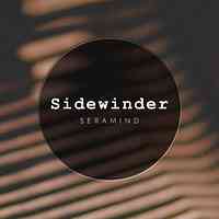Artwork for Sidewinder