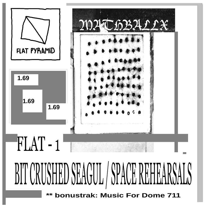 FLAT 1 - BIT CRUSHED SEAGUL / SPACE REHEARSALS