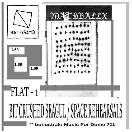 Artwork for FLAT 1 - BIT CRUSHED SEAGUL / SPACE REHEARSALS