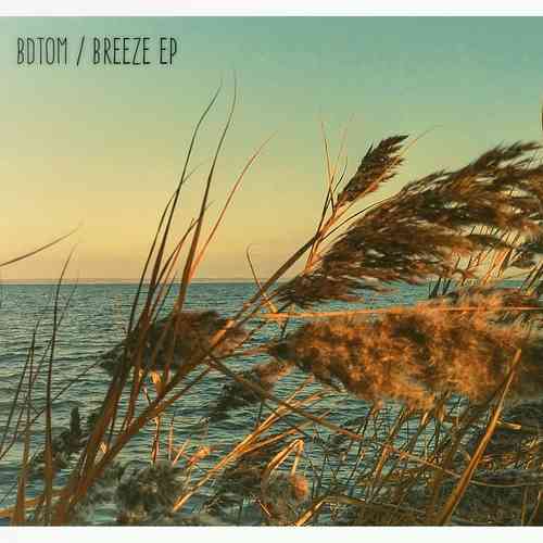 Artwork for Breeze Dub mix