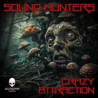 Artwork for Crazy Attraction