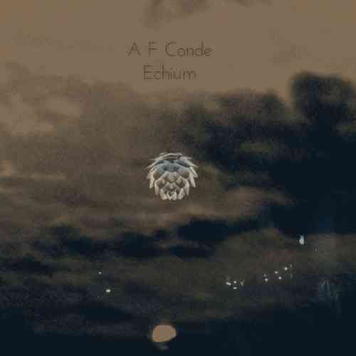 Artwork for Echium