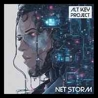 Artwork for Net Storm