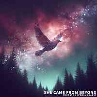 Artwork for She Came From Beyond