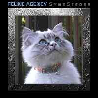 Artwork for Feline Agency