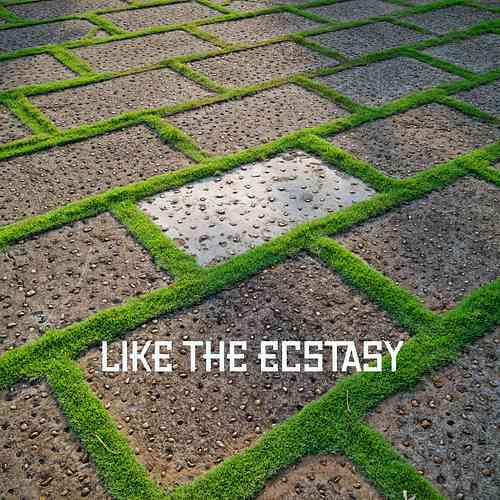 Artwork for Like The Ecstasy