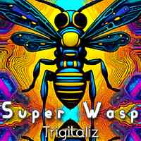 Artwork for Super Wasp