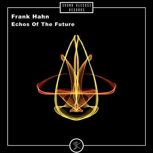 Artwork for Frank Hahn - Echos Of The Future