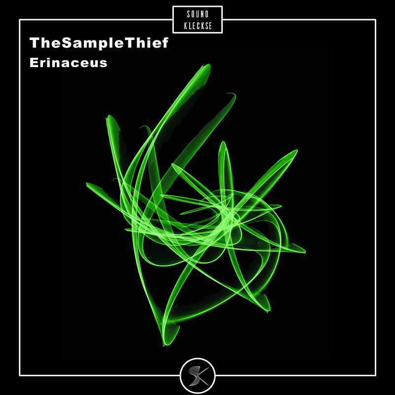TheSampleThief - Erinaceus